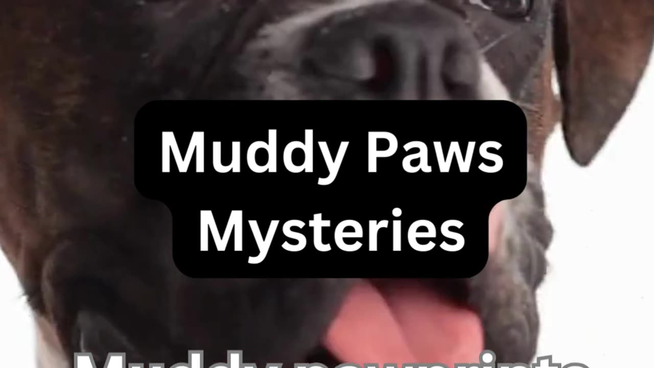 Muddy Paw mysteries