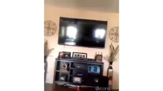 I think my brother hates my 😂😂#funny Videos