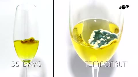 Prosecco Time Lapse