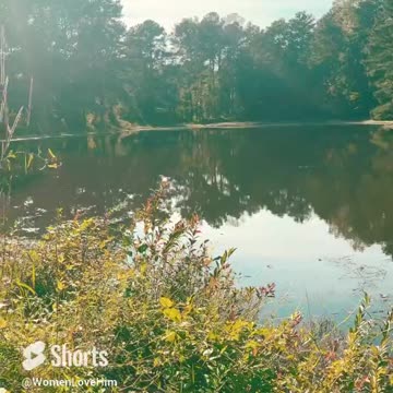 Love is One Crazy Drug