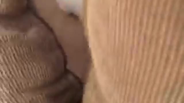 White cat trying to knock down camera