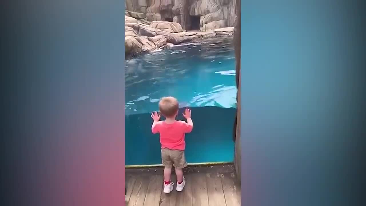 BABY FUNNY MOMENTS ON ZOO