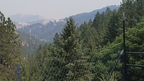 Wildfire smoke