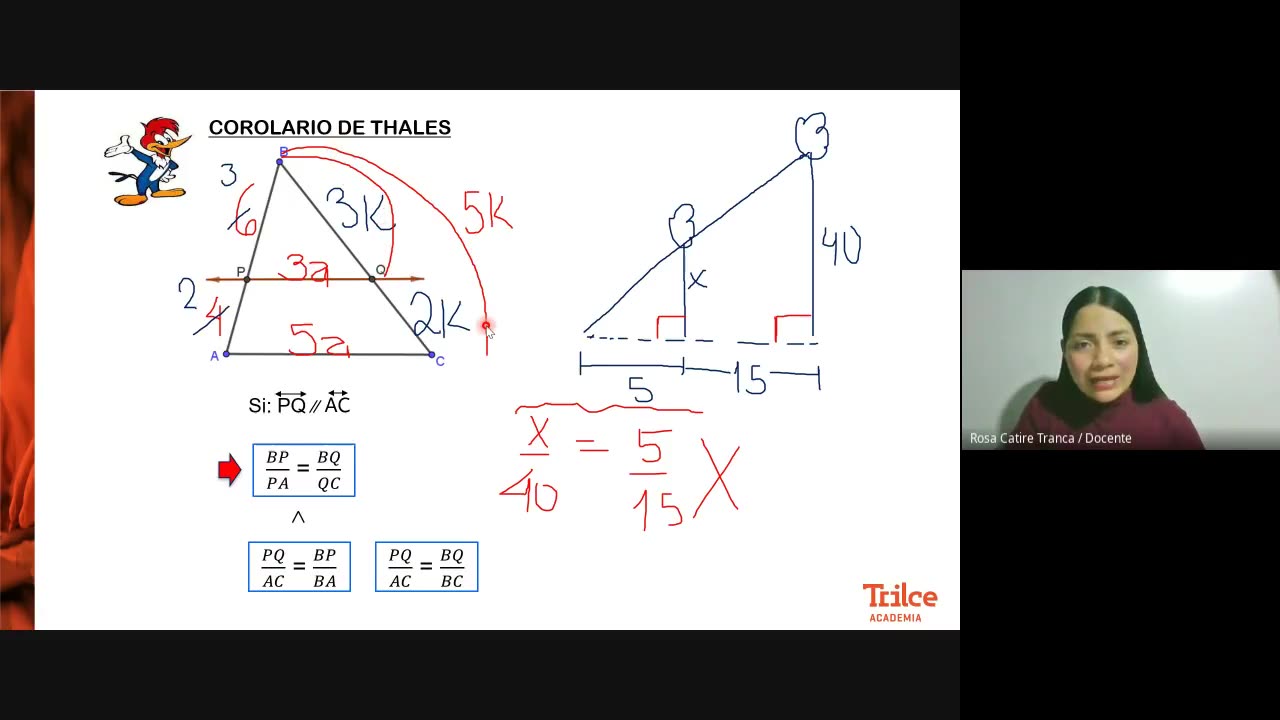 TRILCE ANUAL SM 2022 | SEMANA 10 | GEOMETRÍA