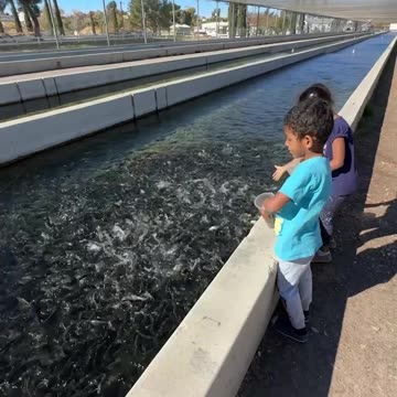 Day with the little siblings