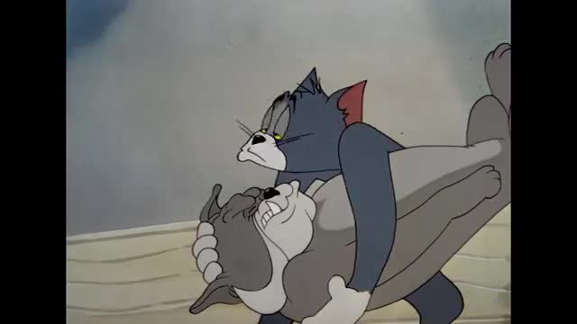 Tom jerry