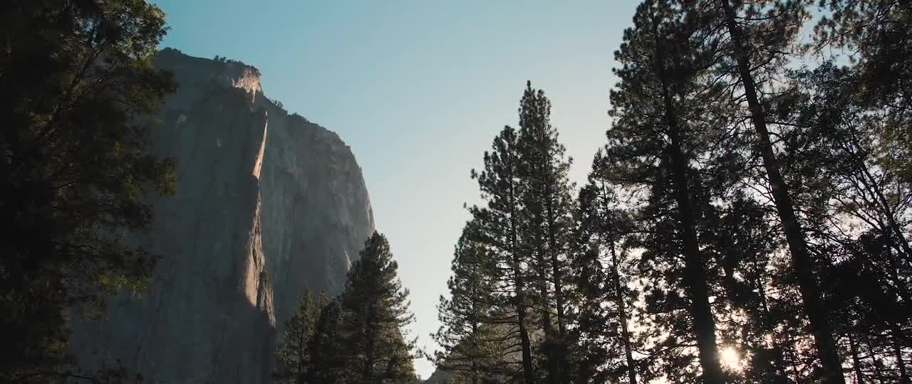 cinematic shots of nature