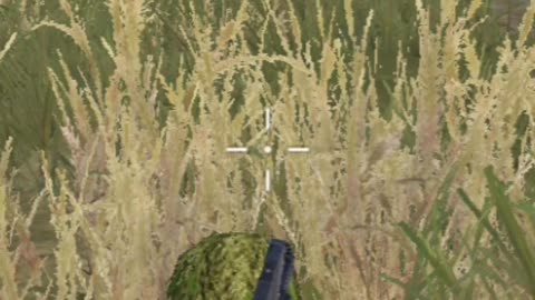 Pubg shorts kill scene