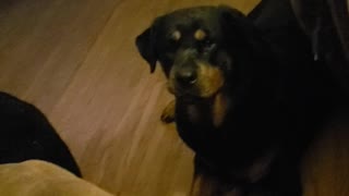 Don't kiss on my mom!!