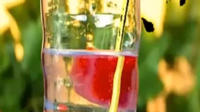 PULPA DE SANDIA PARA REFRESCO