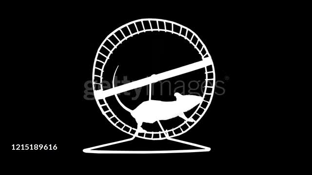 Exercising Rodent