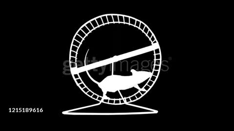 Exercising Rodent