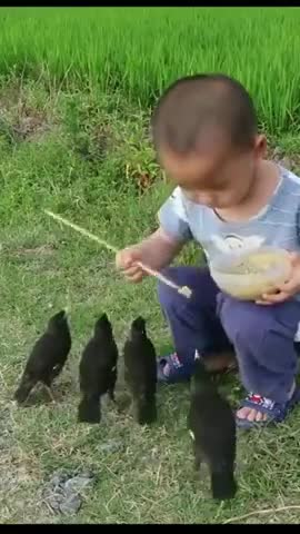 Boy food for bird