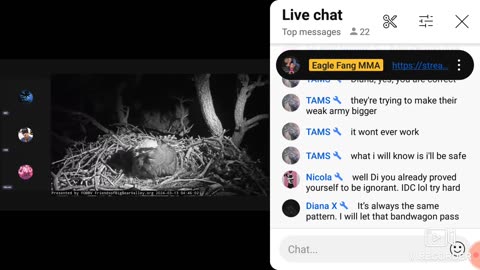 Puppy Mill Rage Level 9 Activated on Humpday 🤣🤣😂🐶🤡