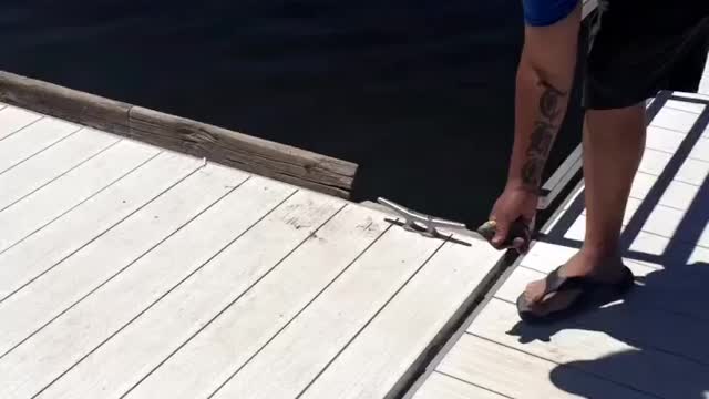 Sharing my catch..