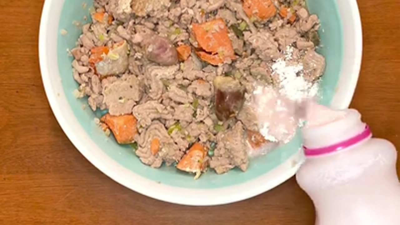 Healthy Crockpot dog food