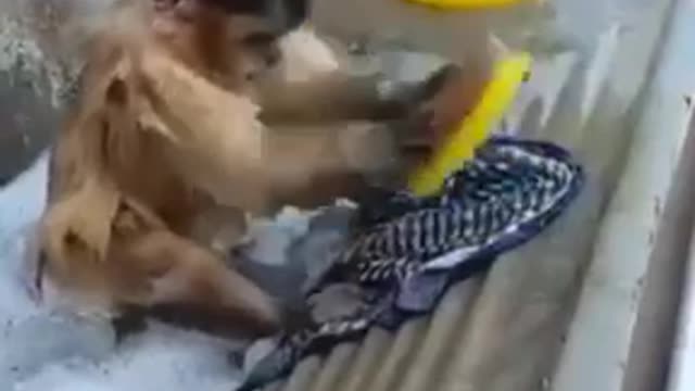Funny He cleans his clothes. Do you? 😄