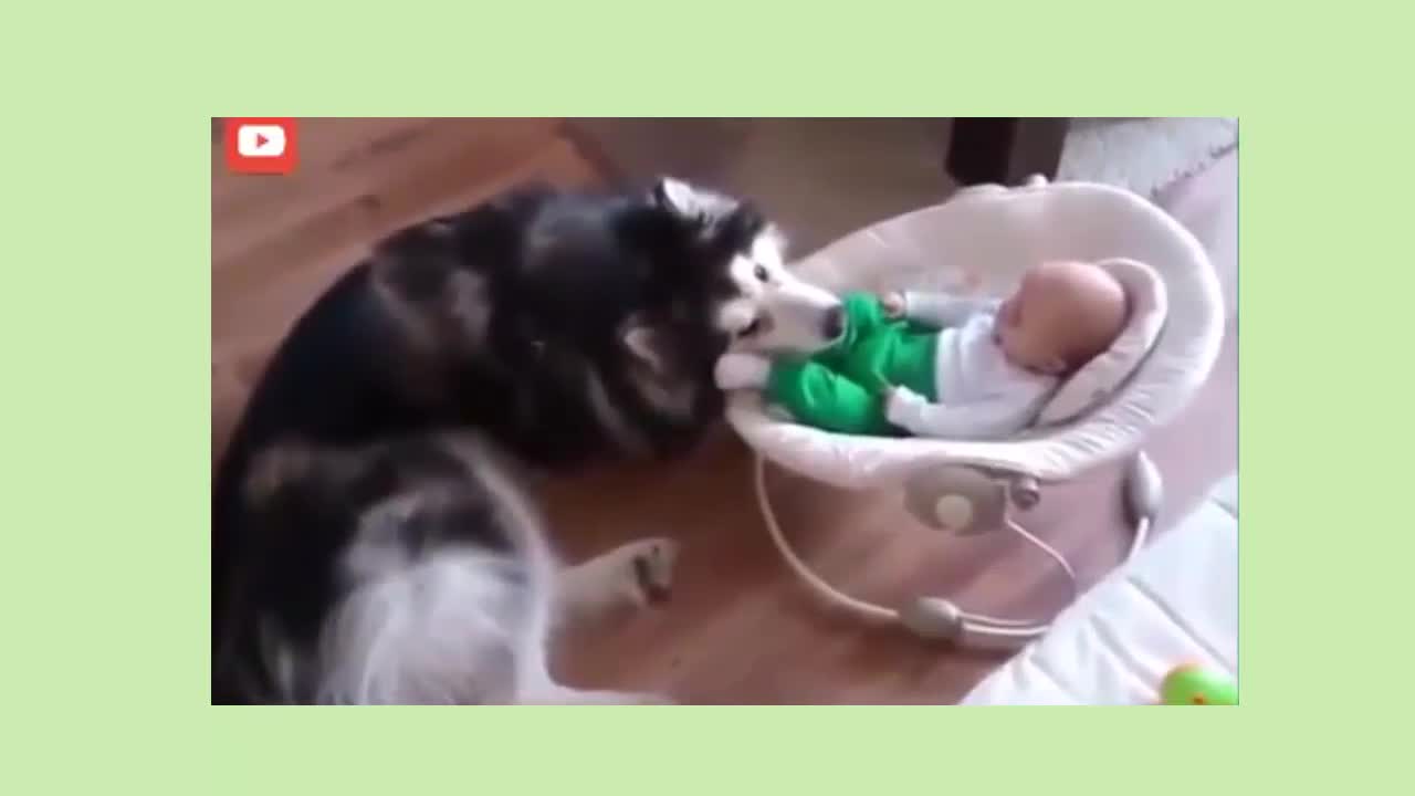 DOGS PROTECTING BABIES COMPILATION. AFTER WATCHING THIS VIDEO, YOU WILL LOVE YOUR PETS SO MUCH MORE