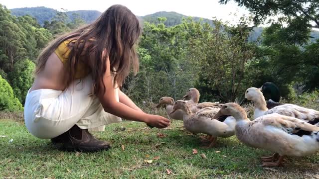 Our Morning Routine: Feeding all the Animals and Cooking a Homegrown Meal Foraged from the Garden