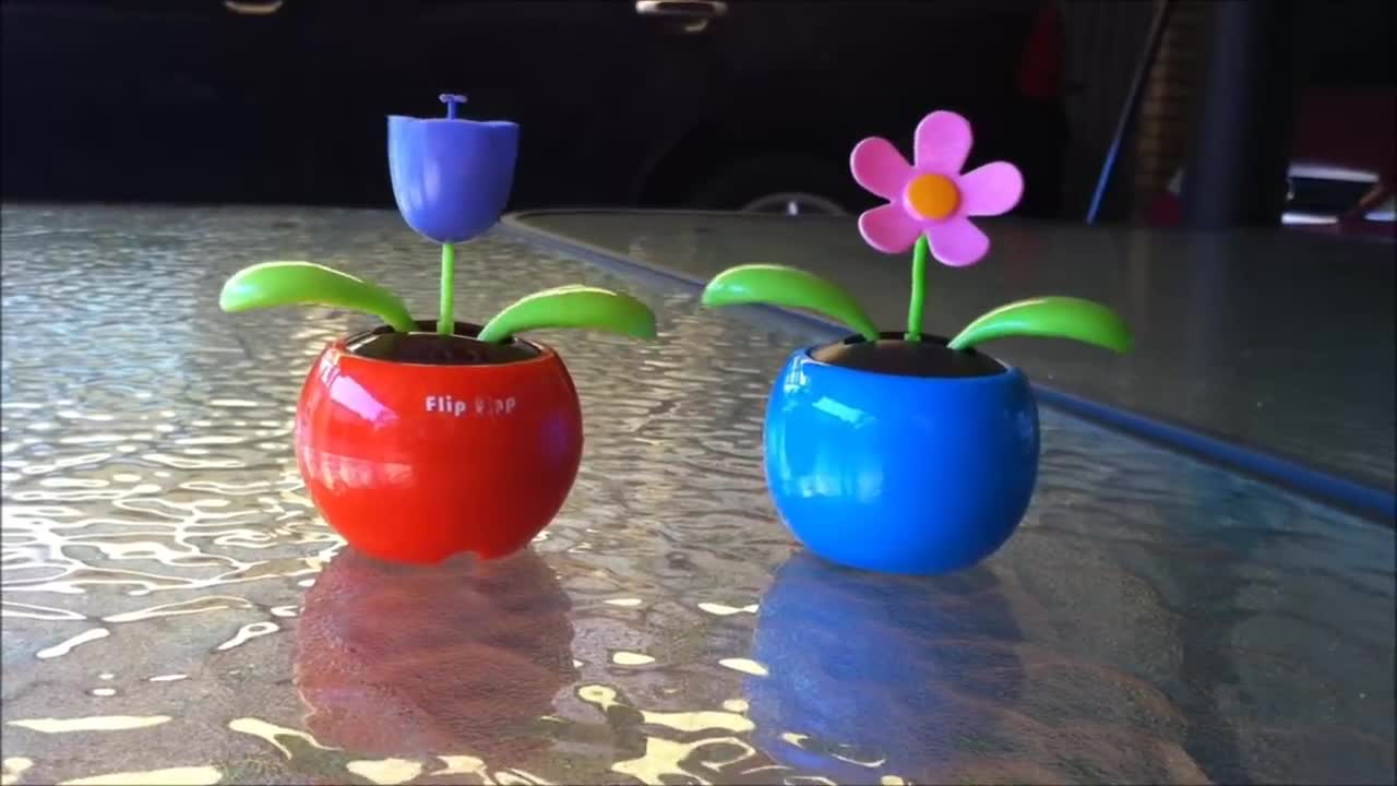 Flip Flop Solar Flowers