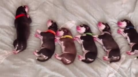 The joy of being a mother