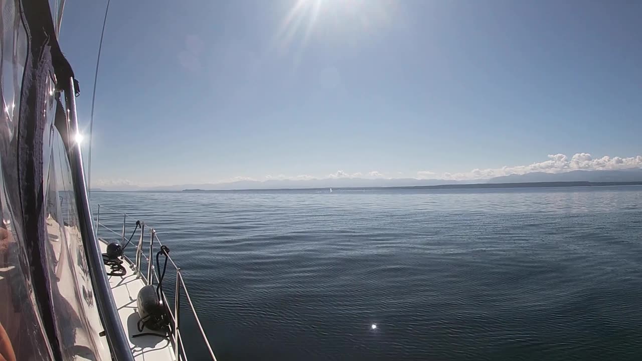 Humpback whales Strait of Georgia