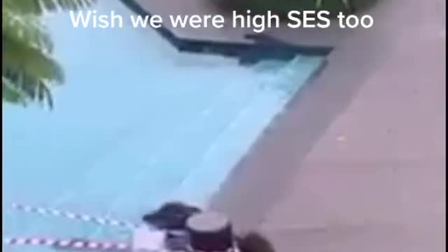 This family of otters were spotted chilling at a Sentosa condo
