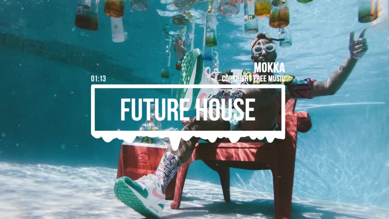 No Copyright Music Future House Electro House