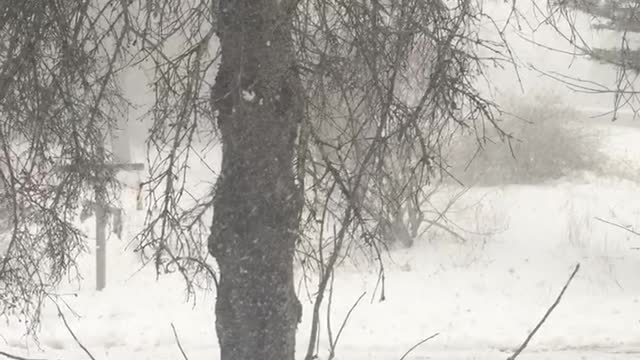 Beginning of April 2018 Blizzard