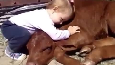 Unbelievable Relationship with animals