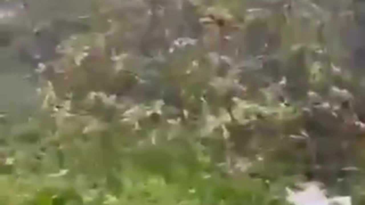 Iranian Search and Rescue Crews Arrive at Crash Site