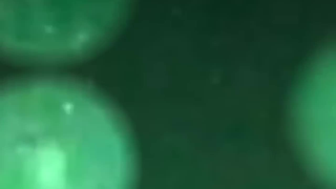 REAL UFO FOOTAGE