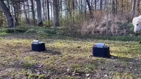 It looks good up and down, and it doesn't belong to anyone.