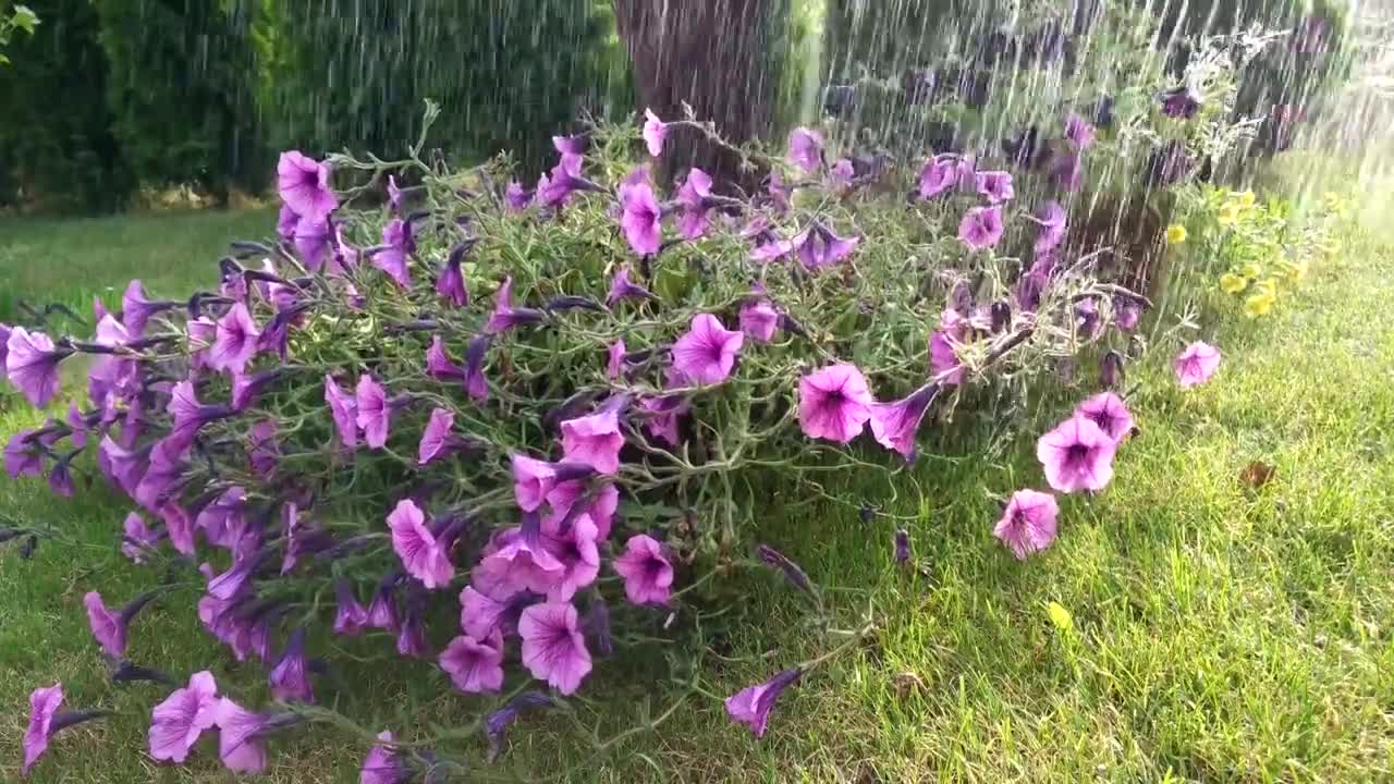 Sounds of the rain! Meditation music to relaxing sleep! Relaxing!