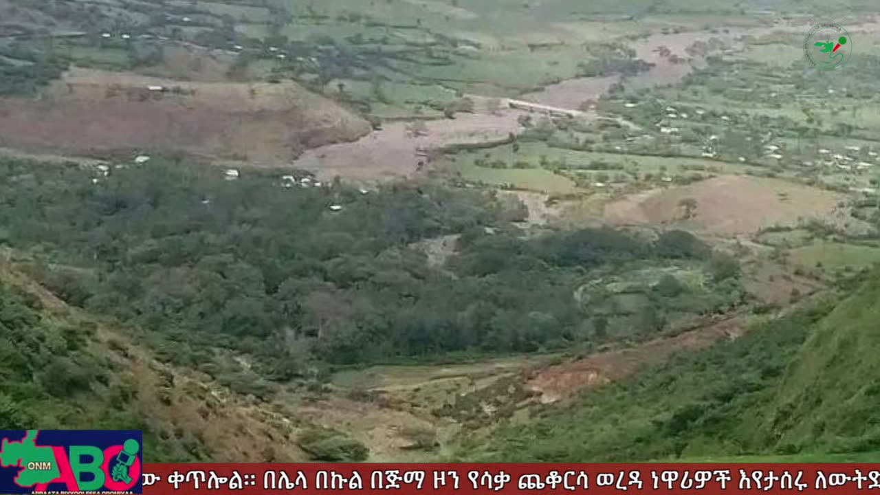 ህዳር 1፣ 2024 ONM-ABO እለታዊ የኦሮሞ ነፃነት ሰራዊትና የኦሮሚያ ውሎ!