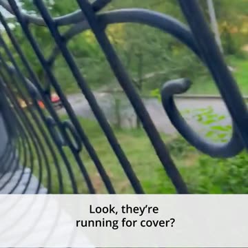 People are not afraid of the war anymore. Old men are sitting and playing dominoes