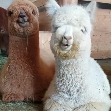 MORNING WORLD 🌎 🙏