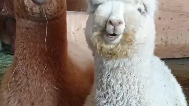 MORNING WORLD 🌎 🙏