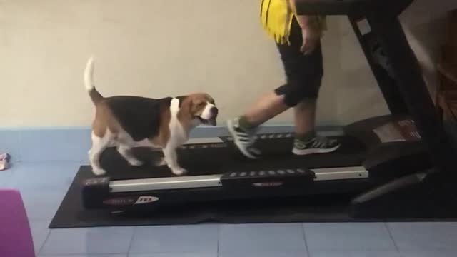 This Woman Has Found Herself The Best Exercise Partner