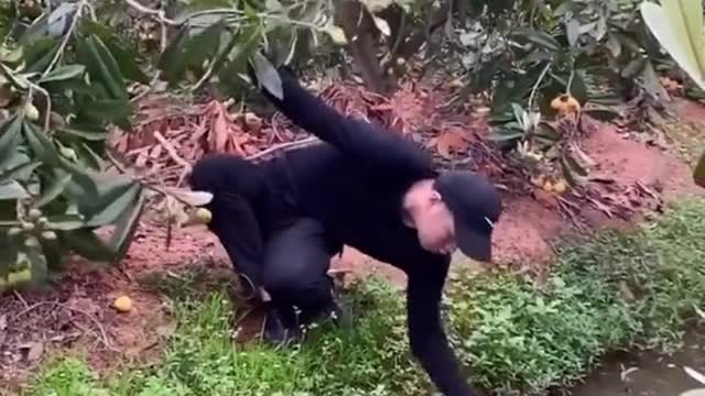 Can't Stop Laughing Bad Man facing Bad Luck