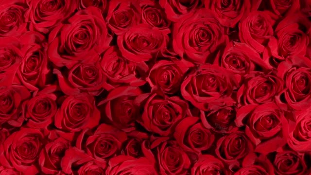 Happy Mothers Day to My Wife| Happy Mother's Day Song for Wife |#happymothersdaytomywifestatus