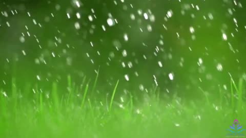Sound of Heavy Rainstorm & Thunder in the Misty Forest At Night Rain Sounds for Sleeping.