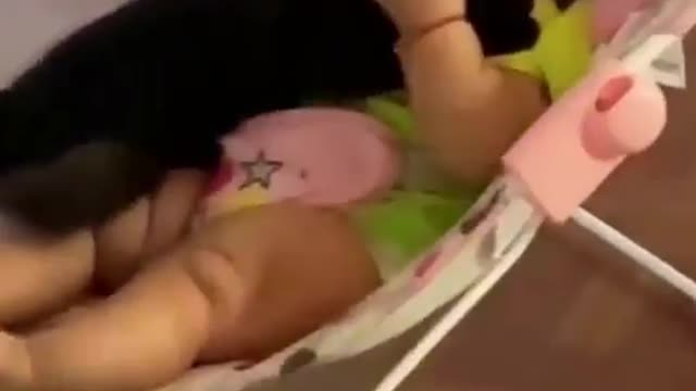 Viral video baby and cat