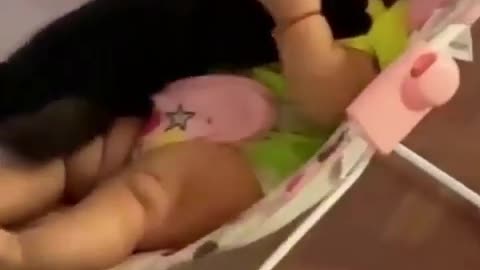 Viral video baby and cat