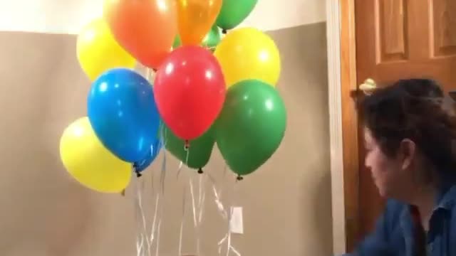 How is it even possible - Doggie Space Program