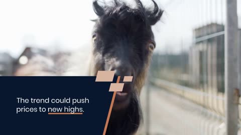 Goatseus Maximus (GOAT) Price Set for New Highs as Trend Remains Strong