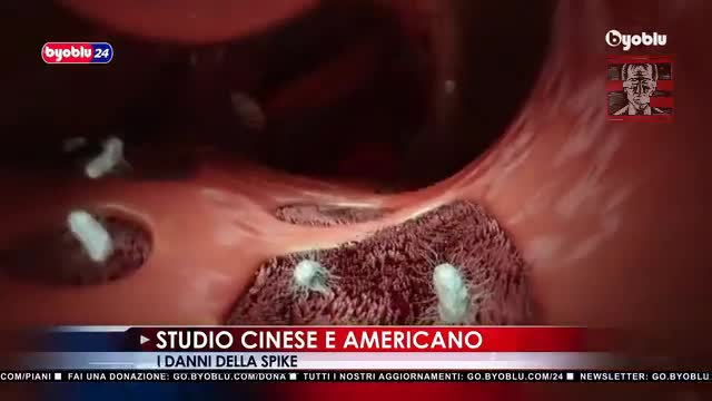 Covid19, vaccini: proteina Spike letale