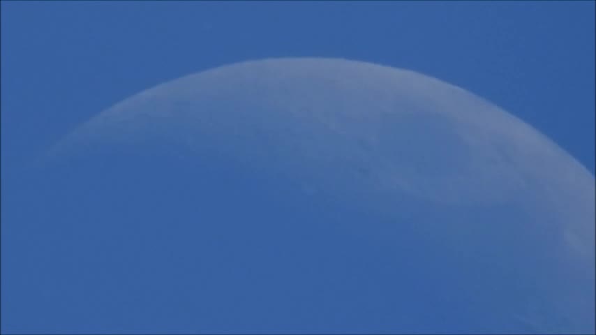 Pollen Snowing Passed The Spring Time Afternoon Moon