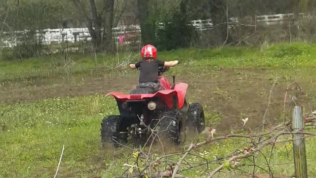 The Redneck is strong in this one!