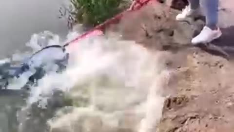 Fish catching🐟🐠